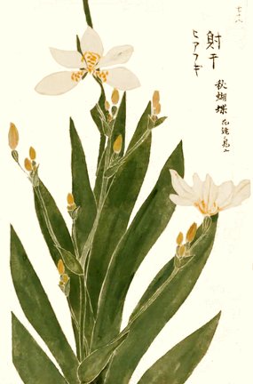 photo66.jpg