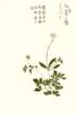 photo6_small.jpg