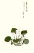 photo9_small.jpg