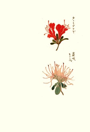 photo8.jpg