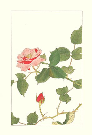 photo26.jpg