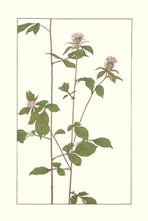 photo34.jpg
