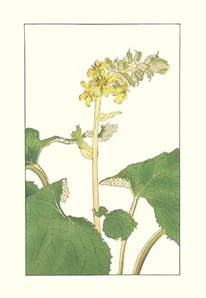 photo36.jpg