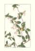 photo37_small.jpg