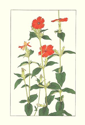 photo38.jpg