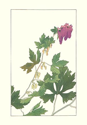 photo64.jpg