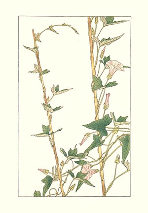 photo76.jpg