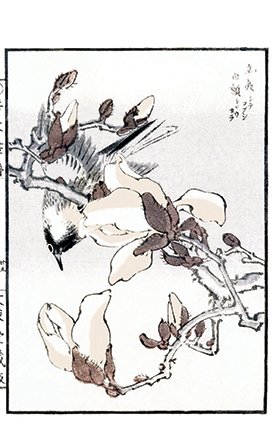 photo33.jpg