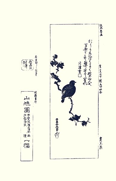 photo24.jpg