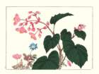 photo152_small.jpg