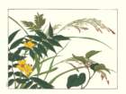 photo183_small.jpg