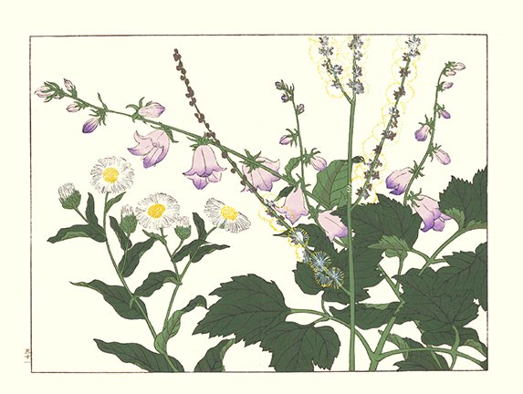 photo190.jpg