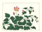 photo191_small.jpg