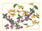 photo192_small.jpg