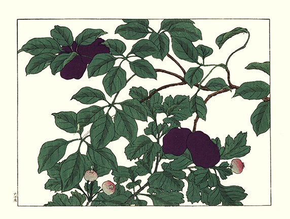 photo208.jpg