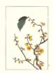 photo237_small.jpg