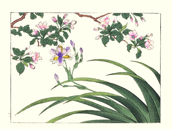 photo26.jpg