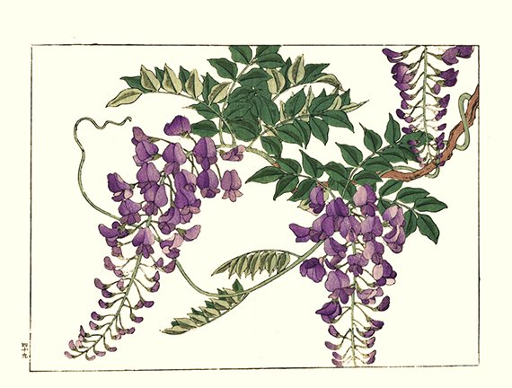 photo49.jpg