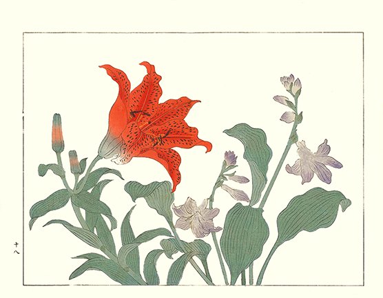 photo68.jpg