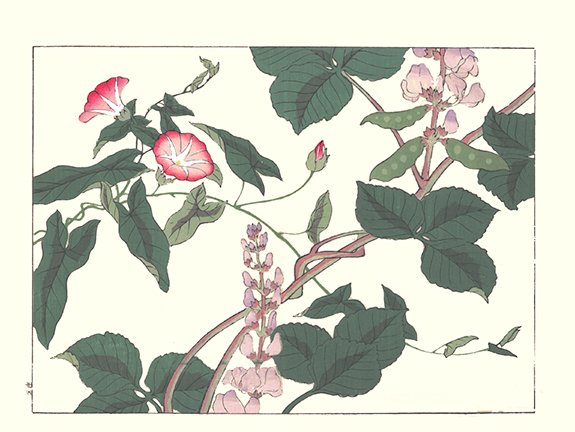 photo85.jpg