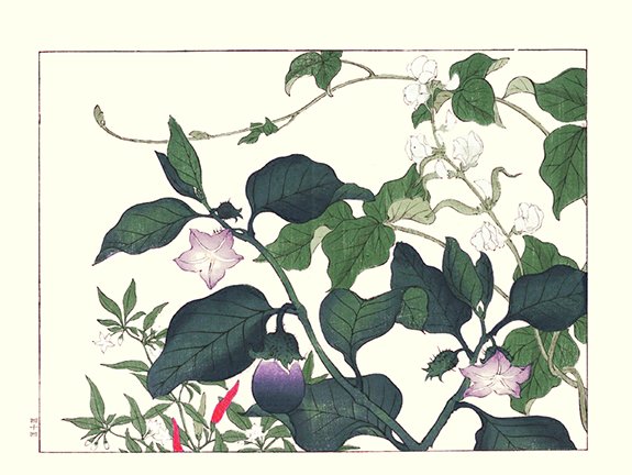 photo94.jpg