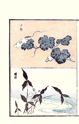 photo19.jpg