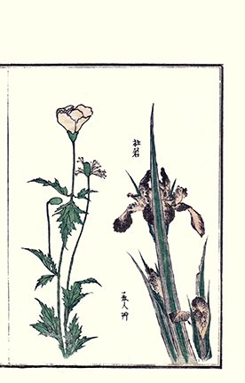 photo24.jpg