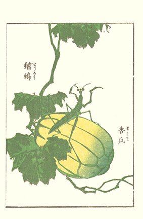 photo7.jpg