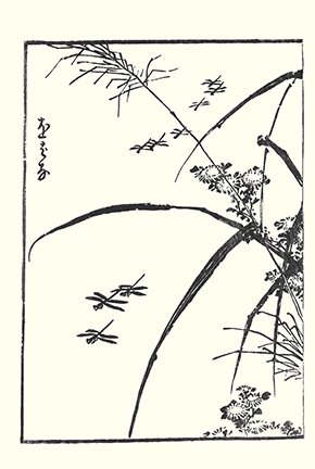 photo16.jpg