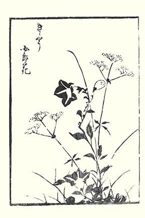 photo8.jpg