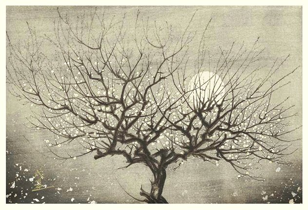 photo17.jpg