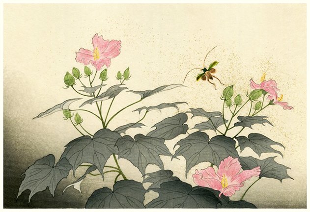photo9.jpg