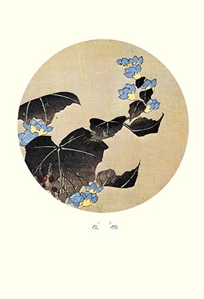 photo16.jpg