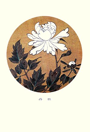 photo19.jpg