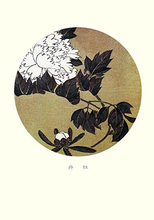 photo25.jpg