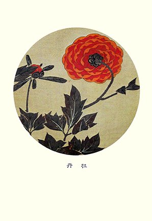 photo28.jpg