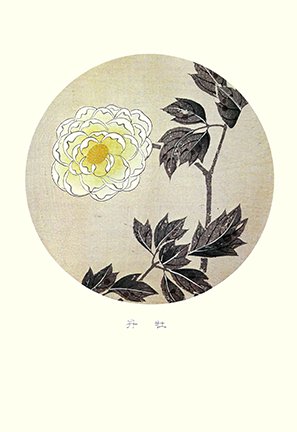 photo29.jpg