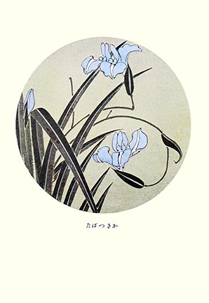 photo36.jpg