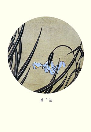 photo38.jpg