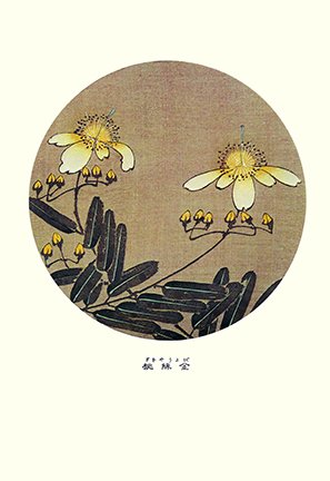 photo47.jpg