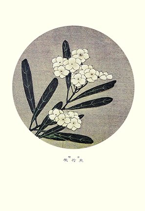 photo61.jpg