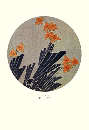 photo73.jpg