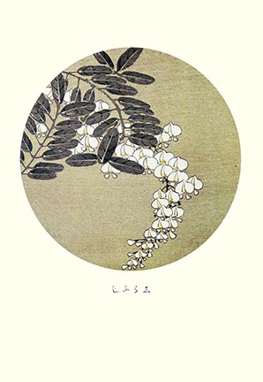 photo10.jpg