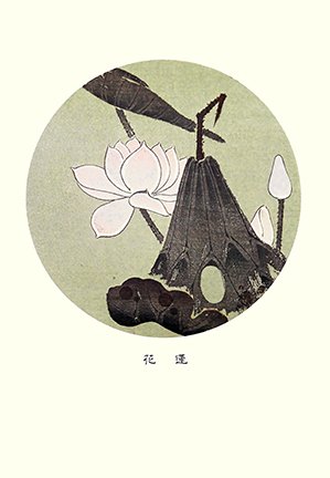 photo19.jpg
