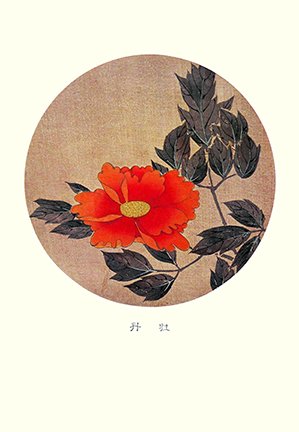 photo8.jpg