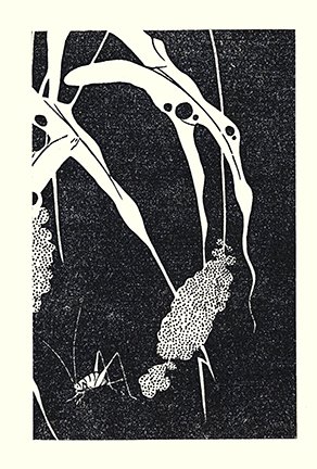 photo29.jpg