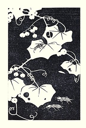 photo33.jpg