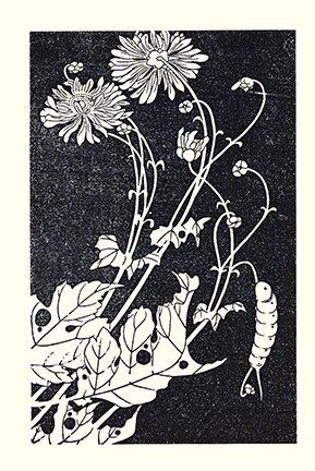 photo35.jpg