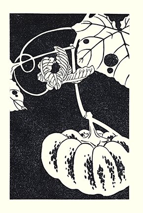 photo39.jpg