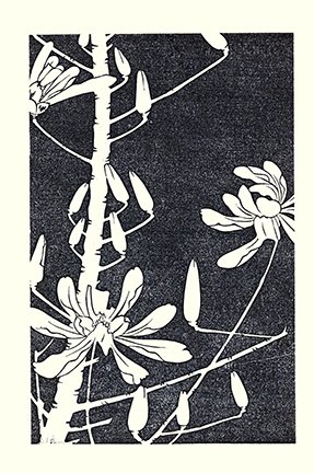 photo8.jpg